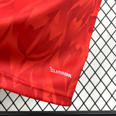 BELGIUM 2026 HOME JERSEY - WORLD CUP EDITION